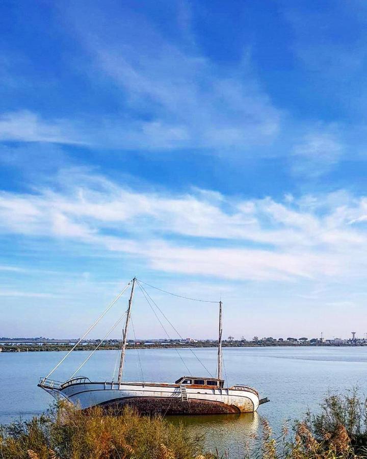 Studio 237 Port Camargue, Piscine, Climatisation, 2 Personnes Le Grau-du-Roi Exteriör bild